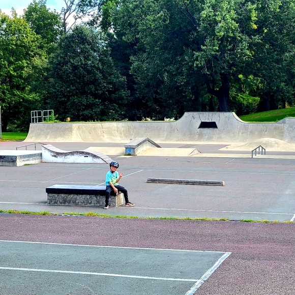 Meet your Posher, Tara - Picture 7 of 8